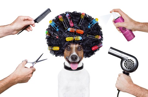 Tips on How to Promote Christmas Party Hair in your Hair Salon